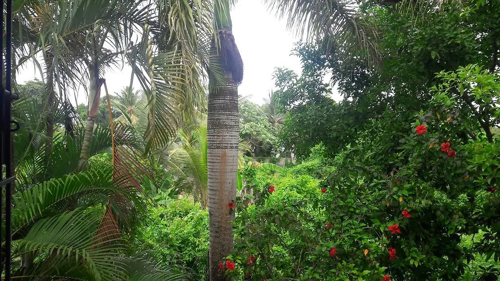 Appartement Apartahotel Condo Carey Boca Chica Dominicaanse Republiek